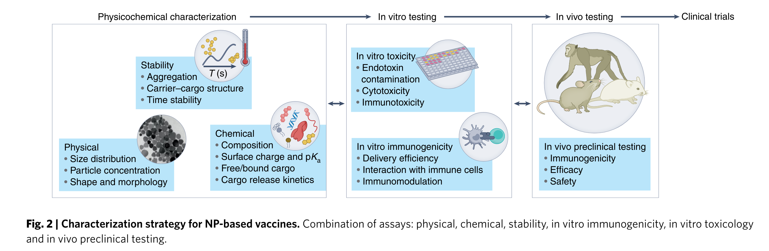 Illustration of the physicochemical characterization of nanoparticles