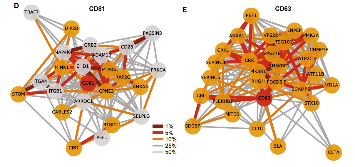 Cross correlation of the presence of proteins in EVs