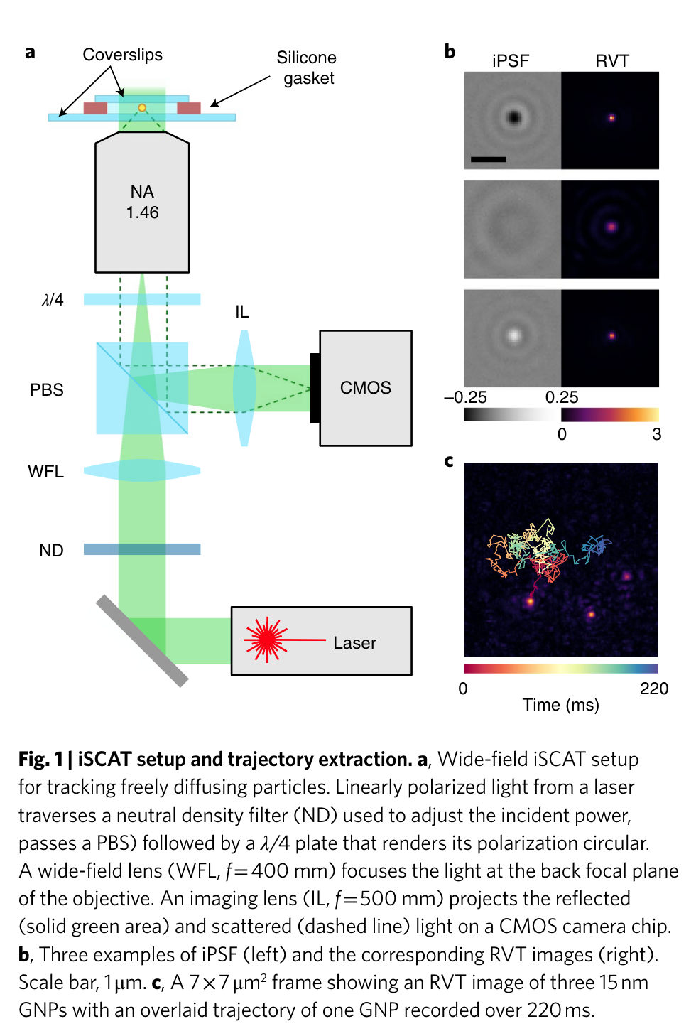 iScat Setup for nanoparticle tracking